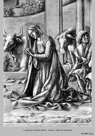 Kapellenausmalung : Geburt Christi