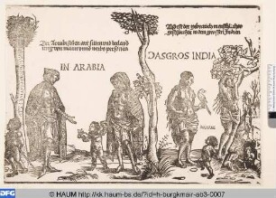 Eingeborene aus Arabien und Indien