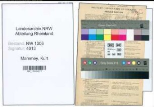 Entnazifizierung Kurt Mammey , geb. 30.11.1902 (Zollsekretaer)