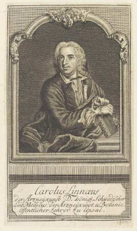 Bildnis des Carolus Linnaeus
