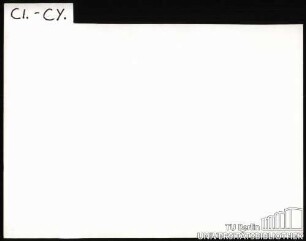 DAHLIE: Sorten CI-CY
