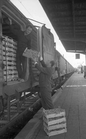 Arbeitsbetrieb auf dem Karlsruher Güterbahnhof.