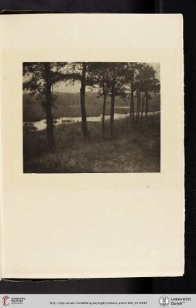 [Charles Yarnall Abbott, II. Sentinels, photogravure from original negative