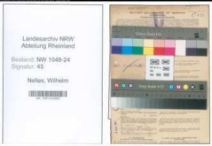Entnazifizierung Wilhelm Nelles , geb. 16.09.1884 (Installateur)