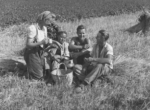 Cotta, Arbeitspause auf einem Feld : Cotta. Getreideernte. Arbeitspause