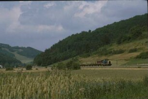 Talsteußlingen Lok 211 196 Ng Münsingen-Schelklingen