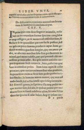 De differentia creationis animalium brutorum & hominis secundum corpus. Cap. V.