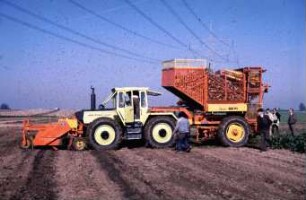 Fotografie: Erntetechnik, Zuckerrübe, Zweiphasiges Ernteverfahren