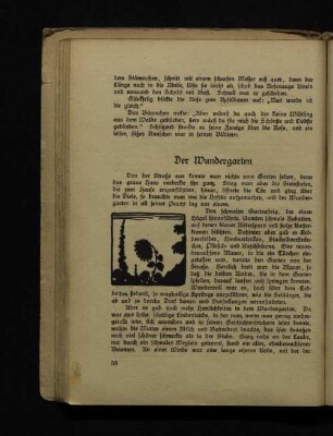 Der Wundergarten