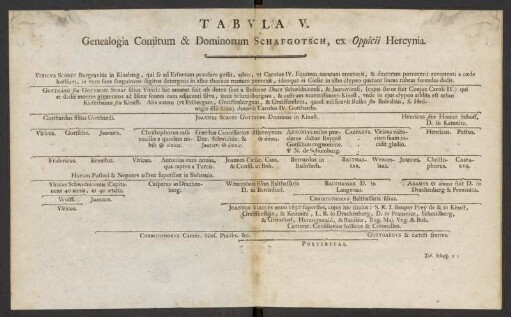 Tabula V. Genealogia Comitum & Dominorum Schafgotsch, ex Oppicii Hercynia.