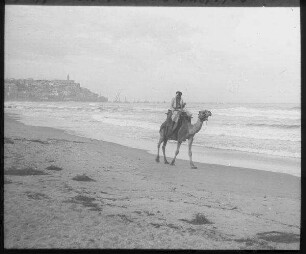 Jaffa von N. Sommer
