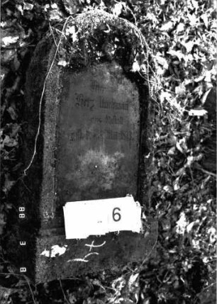 Grabstein 974