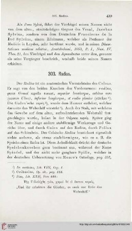 303. Radius – 313. Rostrum cochleare