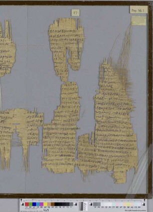 Canticum Canticorum 6,5-7,11