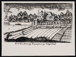 Fotografie: [Das Leinckerische Schlößlein zu Mögeldorf.] - Herrensitz Linckisches Schloss, Nürnberg-Mögeldorf