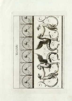 Tab. LXIV.