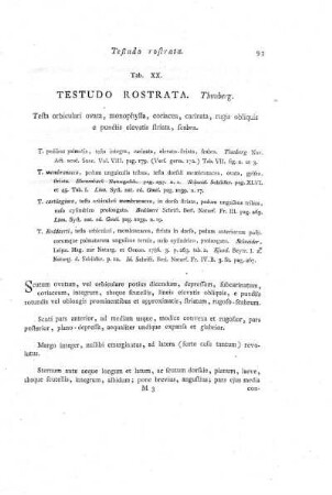 Tab. XX. Testudo Rostrata.