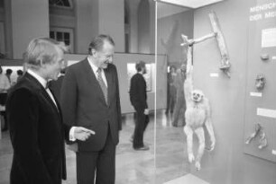 Ausstellung "Ursprung des Menschen" im Museum am Friedrichsplatz (Naturkundemuseum)