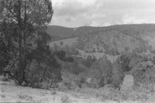 Landschaft : Blick über die Landschaft von Rangwi in Richtung Shume.
