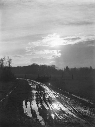 Feldweg mit Fahrspuren