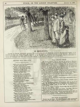 An ambuscade