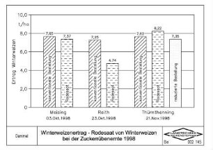 Winterweizenertrag, Rodesaat von Winterweizen bei der Zuckerrübenernte 1998