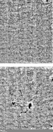 Lilienschild + IESV / LW = S.1/2+23/24