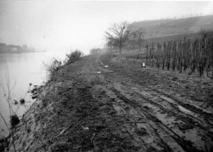 Mosel vor Ausbau bei Lay