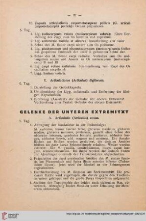 Gelenke der unteren Extremität