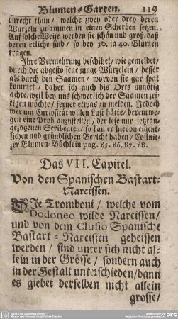 Das VII. Capitel. Von den Spanischen Bastart-Narcissen.
