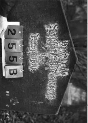 Grabstein 255 (Index: 99752177) Material: Sandstein Zustand: Schrift abgeblätt. m. fast völl. Textverl. Maße HxBxT: 125x78x11 cm Beschreibung: Stele, giebelart. Abschl. , Schriftfeld eingetieft mit zweibogigem Abschluß Symbolik: Kranz aus Palmzweigen, Blätter: Grabstein 255B