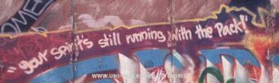 "your Spirit's still running with the Pack!"