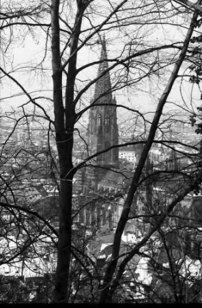 Freiburg: Münster vom Kanonenweg durch Baumgeäst