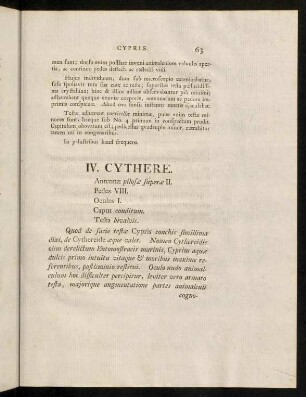 63-67, IV. Cythere