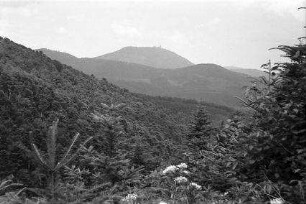Tannenkirch: Blick auf die Königsburg, mit Vordergrund