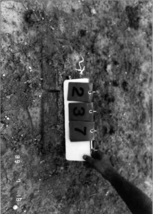 Grabstein 237 (Index: 99797721) Maße HxBxT: 0x0x0 cm: Grabstein 237