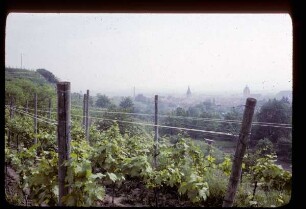Blick auf Endingen am Kaiserstuhl