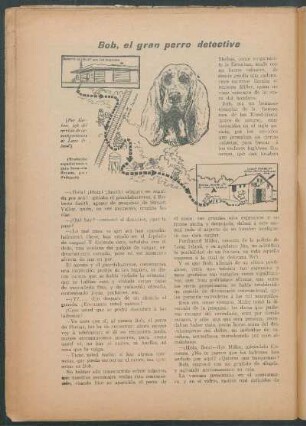 Bob, el gran perro detective