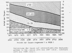 Verteilung der Sauen auf unterschiedliche Bestandsgrößen in den Jahren 1971 - 1987