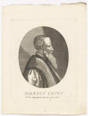 Bildnis des Johannes Caius