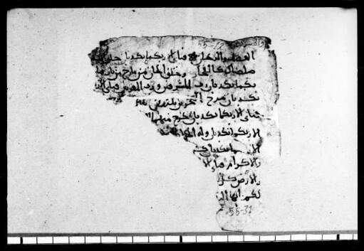 al- Qurʾān [DAM 10-12.3]