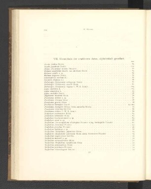 VII. Verzeichnis der erwähnten Arten, alphabetisch geordnet.