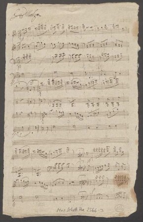 Waltzes, pf, F-Dur - BSB Mus.Schott.Ha 2566-3 : [label] 316 // Favorit Hops Walzer // über das Lied // Heÿrath die Lisbeth // zu 2 und 4 Hände // für // Piano forte