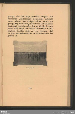 Auf den Broads