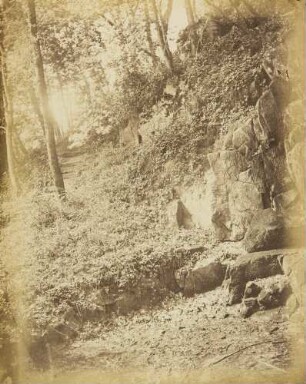Mittelgrundstudie: Waldinneres: Felsen mit Treppe und Gestrüpp