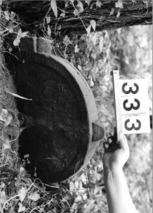 Grabstein 333 (Index: 99803518) Material: Sandstein Zustand: verwitt/eingesunken/völl. Textverlust Maße HxBxT: 41x58x8 cm Beschreibung: Stele mit eingezog. Rundbogen, Mittel-und Seitenakroterien, profilierter Rand Symbolik: Mittel-und Seitenakroterien: Grabstein 333