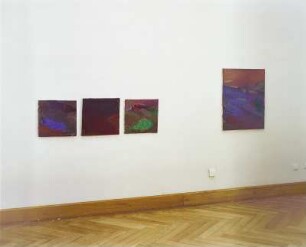 Thar & Polenztal & Rügen & Hochlandmoor : Pisch, Ulrike: Thar, Polenztal, Rügen, Hochlandmoor. 2004. Dresden: Hochschule für Bildende Künste Dresden, Ausstellung Diplom 2004 vom 17.7.-29.8.2004. Raumaufnahme