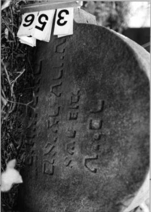 Grabstein 356 (Index: 99803560) Material: Sandstein Zustand: eingesunken, Textverlust Maße HxBxT: 73x73x12 cm Beschreibung: Stele mit Karniesbogen, profilierter Rand, Giebelfeld: Grabstein 356 (Detailaufnahme)