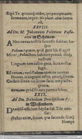 XXVIII. Ad Dn. M. Johannem Polonum