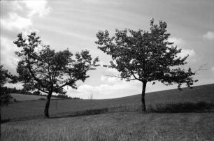Bei Dolní Lisná (Snezné)